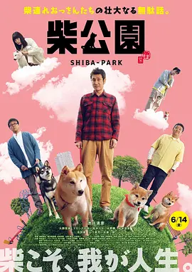 丁香花五月天婷婷