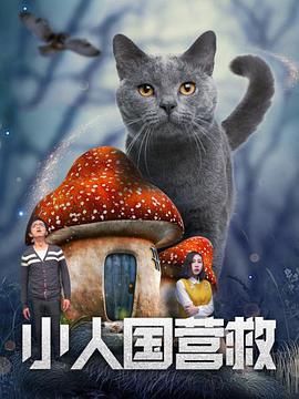 深夜福利视频在线一区