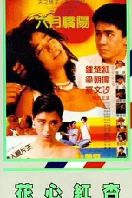 一区视频免费观看