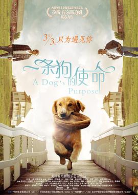 免费国产高清精品一区在线