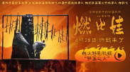 红杏av首页进入