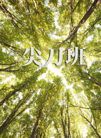 91视频免费观看